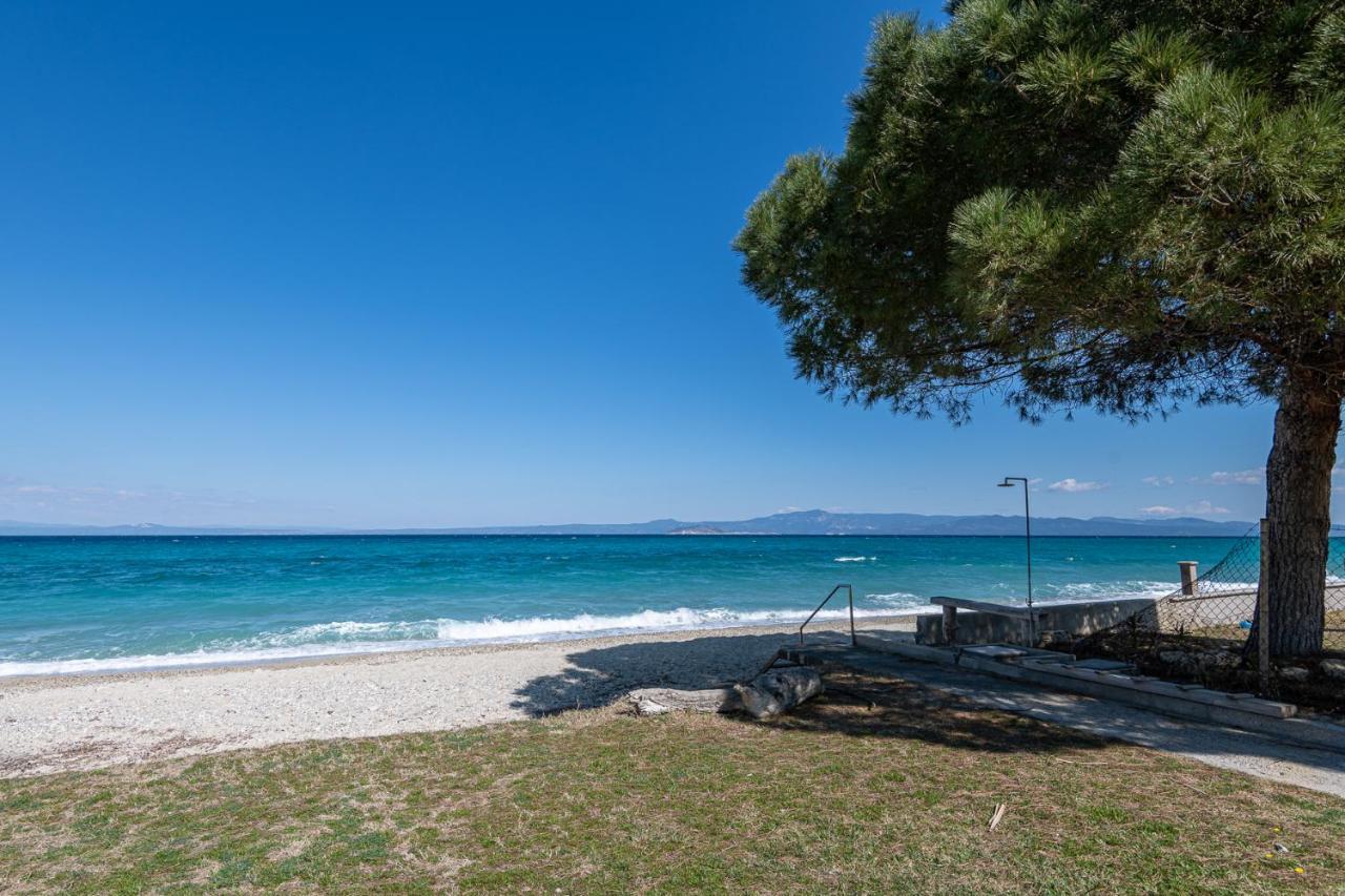 #Flh - Amalthia & Αthena Beachfront Houses In Pefkohori エクステリア 写真